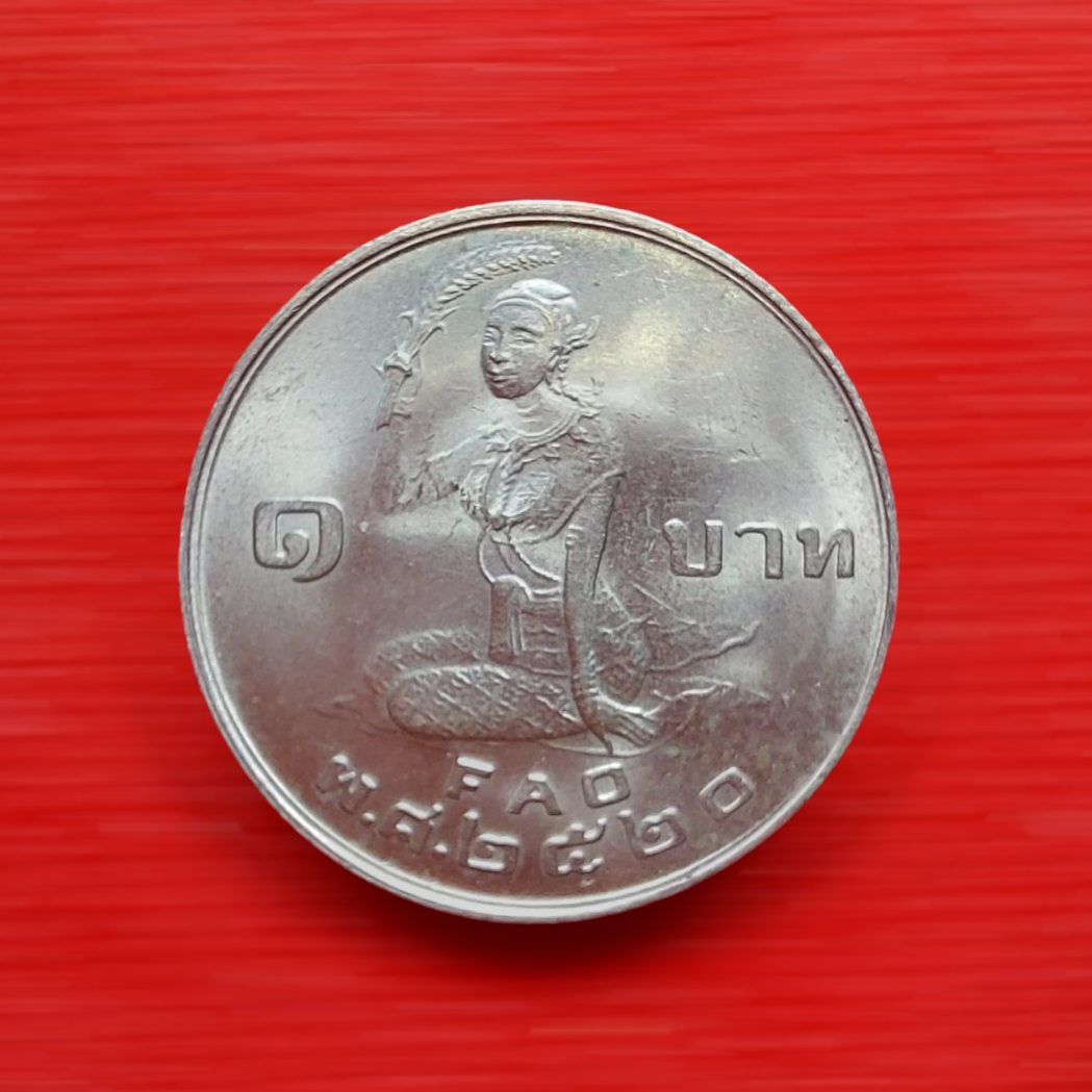 20250602_155033 (1).png