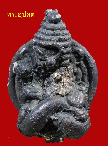 229977_0.jpg