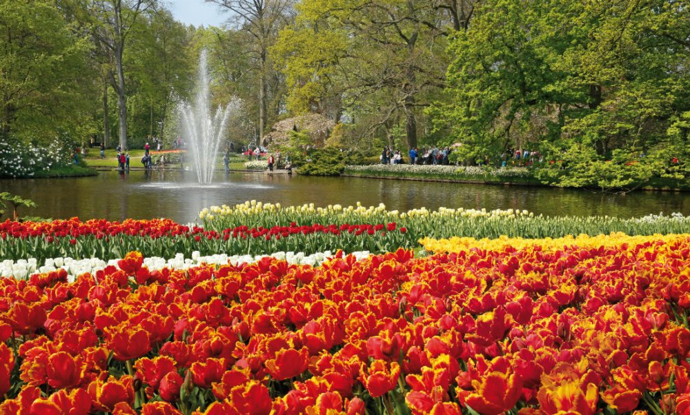 garden-flowers-netherlands-keukenhof.jpg