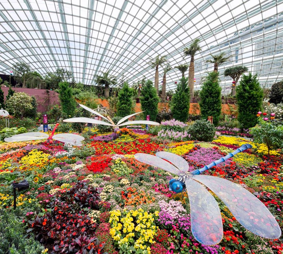 gardens-cloud-forest-flower-dome-69-zg7kZ.jpg