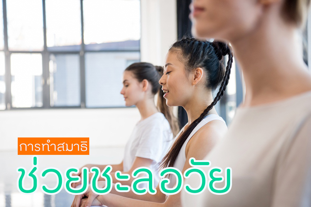 newscms_thaihealth_c_egjkmosv2349.jpg