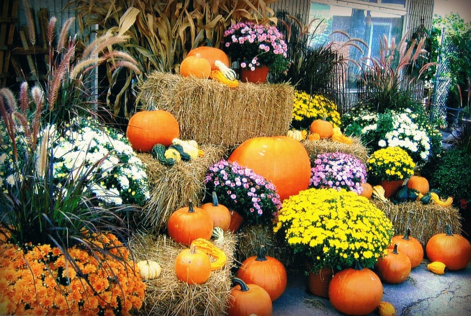 pumpkins-and-straw-min.jpg