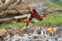 sausages-on-the-fire-2891053_960_720.jpg
