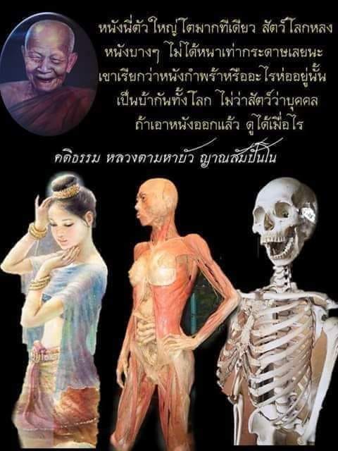 uxGv_FtctuM8gh-tby7aLtp0IJXCDqnBaO45giqqQ-mYxePQm8s_xEsnuva6Y&_nc_zt=23&_nc_ht=scontent.fbkk22-4.jpg